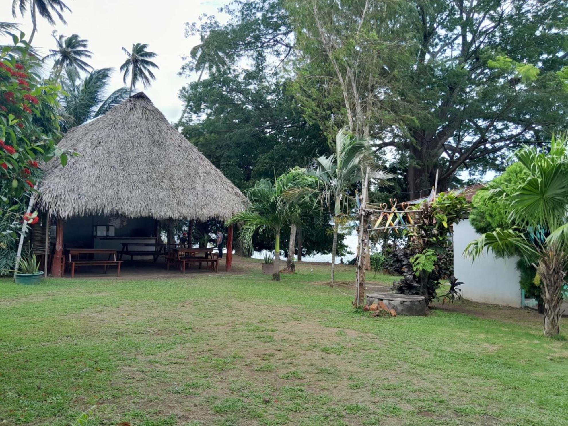 Hostel Los Chocoyos Mérida Extérieur photo